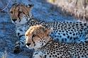 20090618_101754 D300 (1) X1